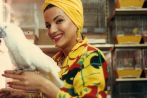 A homenagem a Carmen Miranda é um reconhecimento de sua influência perene.