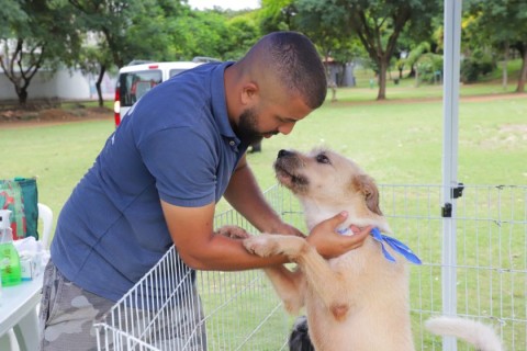 Prefeitura de Barueri abre agendamento para castração gratuita de animais de estimação a partir de 7 de maio