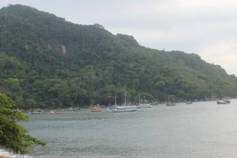 Litoral de SP tem 46 praias impróprias para banho; veja os locais