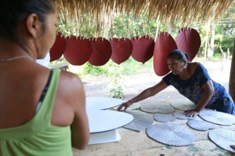 Governo federal abre inscrições para regularizar áreas na Amazônia